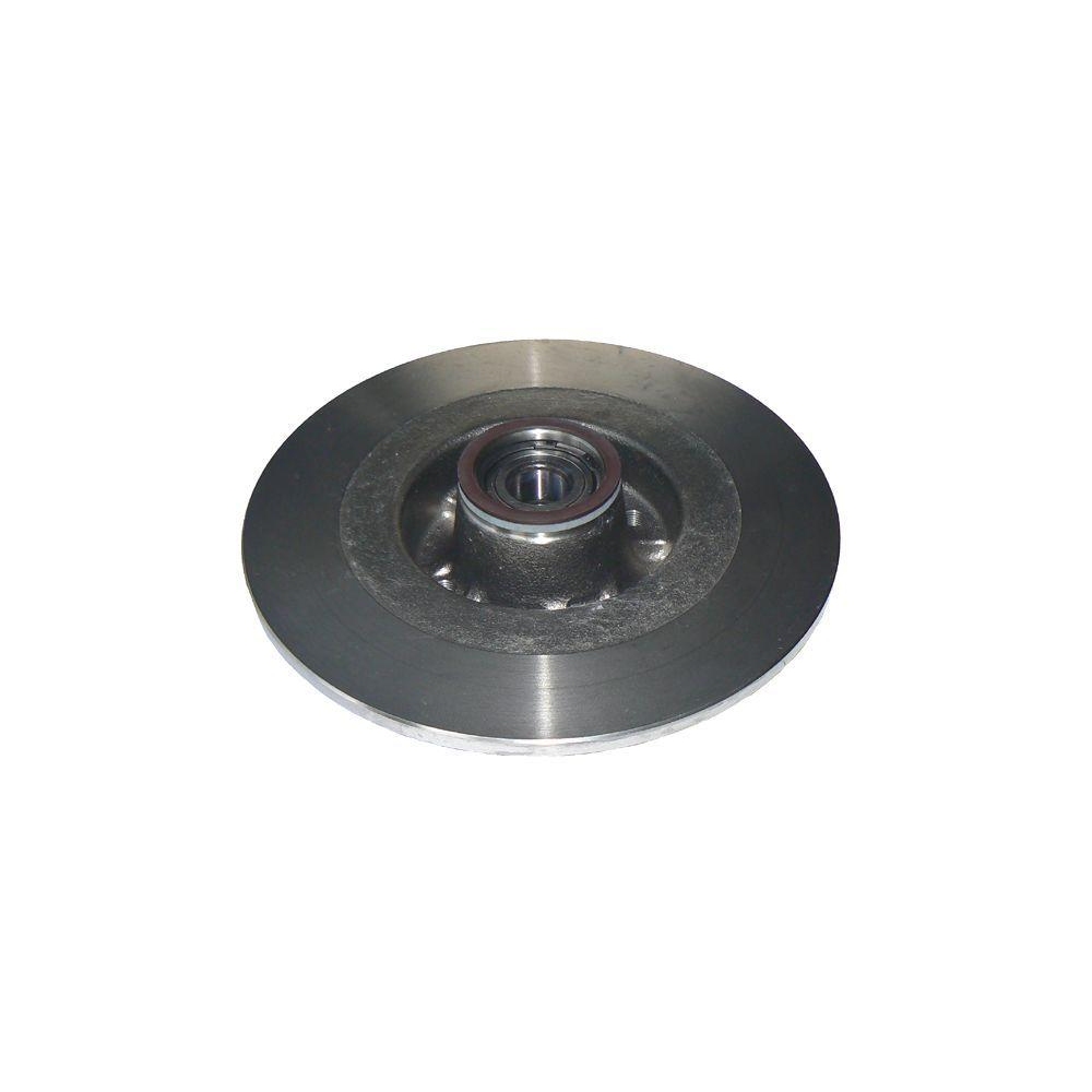 METZGER AUTOTEILE 6111046 2 St&uuml;ck Bremsscheiben f&uuml;r RENAULT, Hinterachse