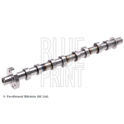 BLUE PRINT ADBP610515 Nockenwelle f&uuml;r NISSAN OPEL RENAULT VAUXHALL, Auslassseite