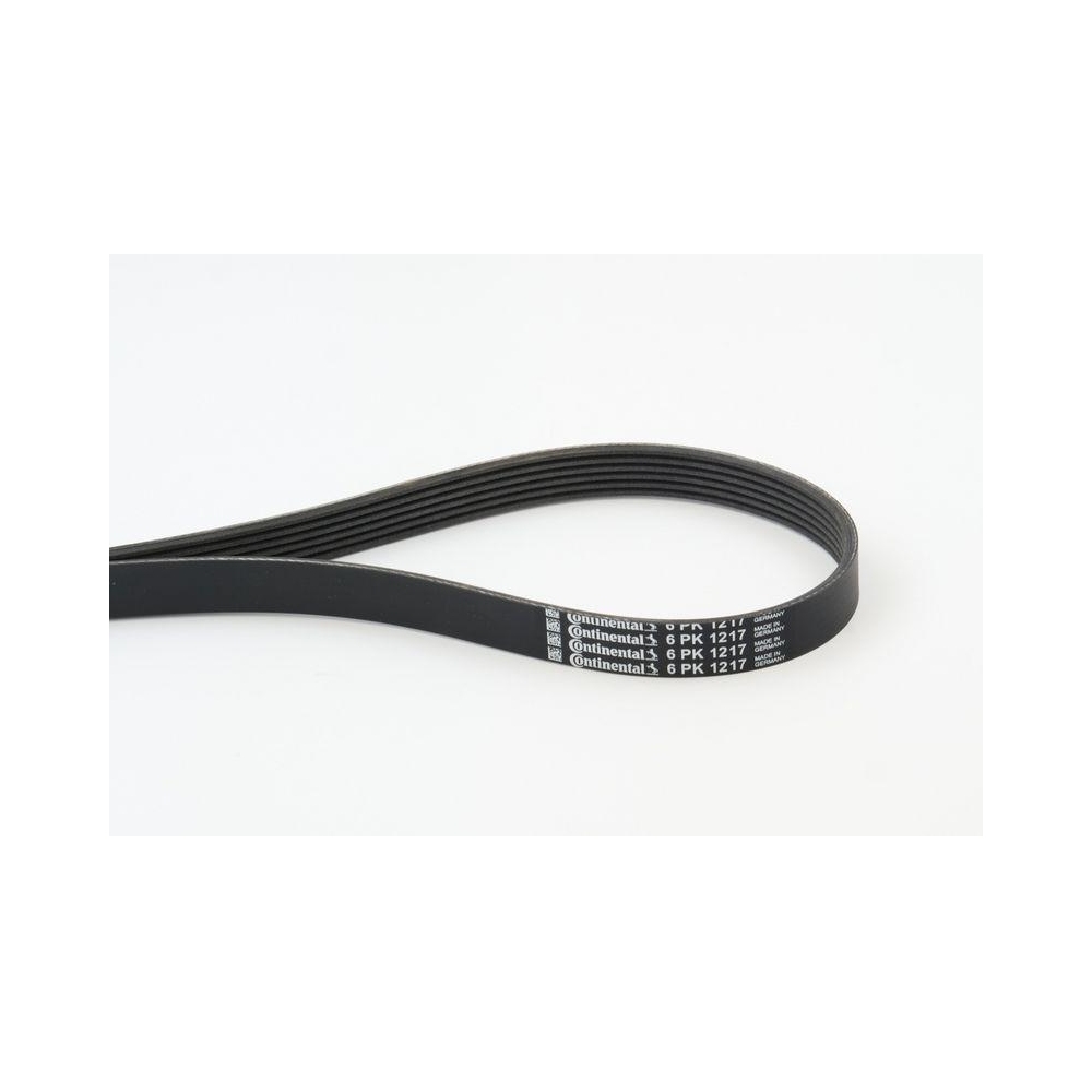 Keilrippenriemen CONTINENTAL CTAM 6PK1217 für CITROËN FIAT FORD IVECO LANCIA