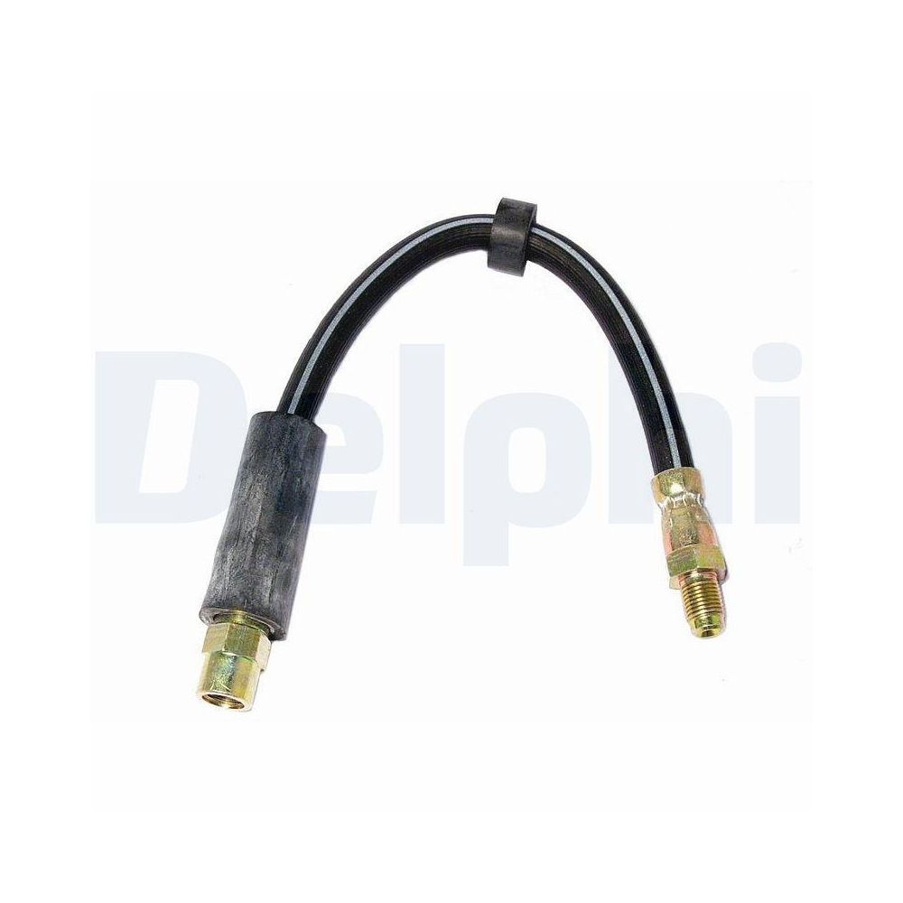 DELPHI LH0417 Bremsschlauch f&uuml;r BMW, Hinterachse