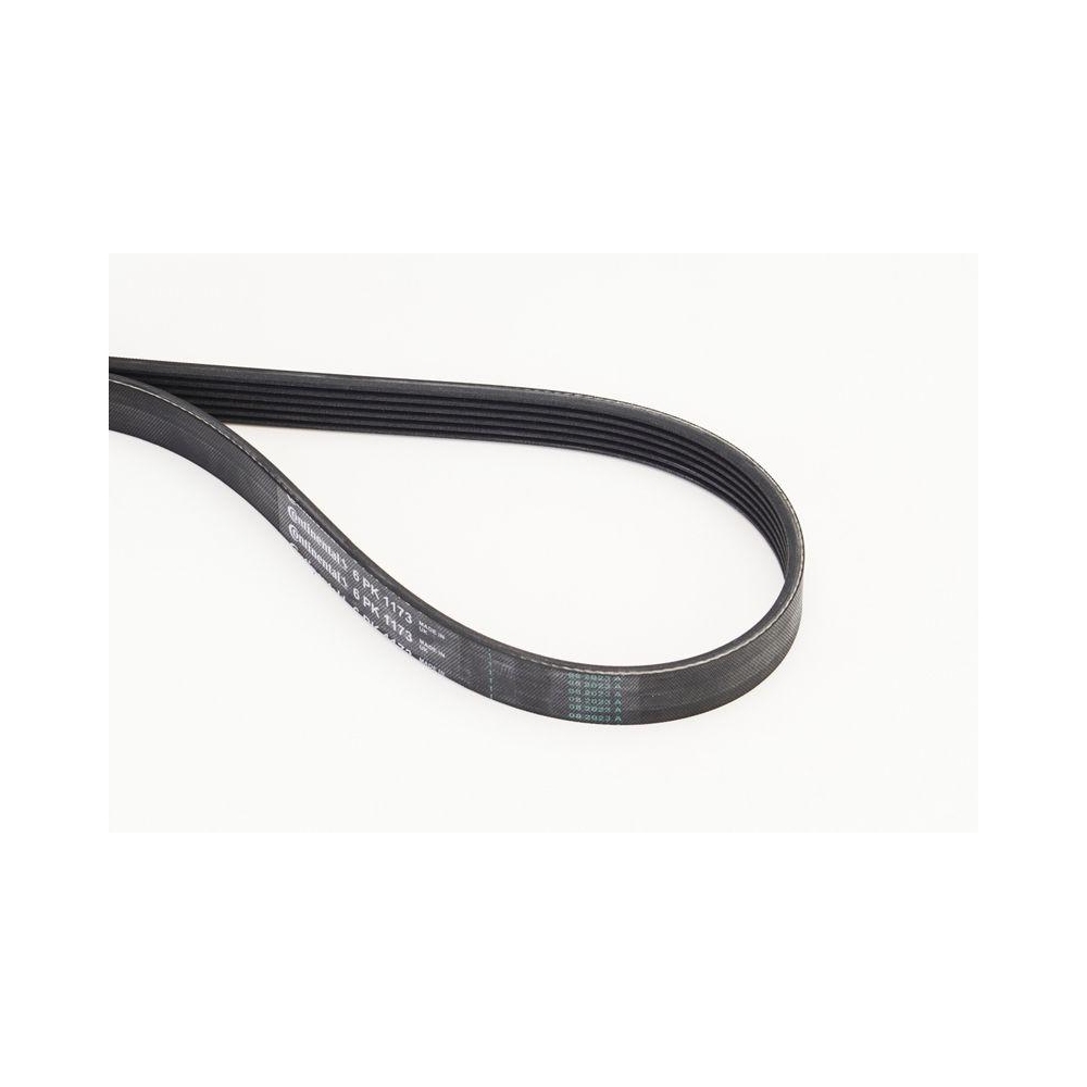 Keilrippenriemen CONTINENTAL CTAM 6PK1173 für BMW CITROËN HONDA NISSAN PEUGEOT