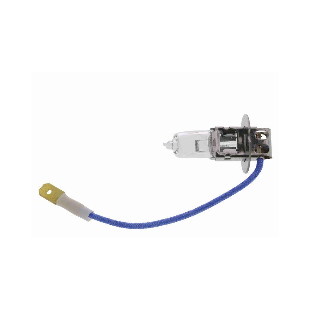 VEMO Gl&uuml;hlampe V99-84-0013 Green Mobility Parts f&uuml;r ALFA ROMEO AUDI BMW CHRYSLER