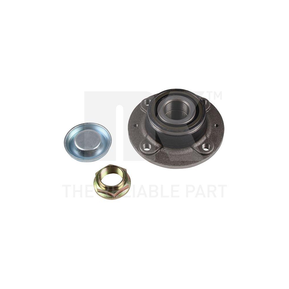 Radlagersatz NK 761909 f&uuml;r CITRO&Euml;N PEUGEOT, Hinterachse, Hinterachse links