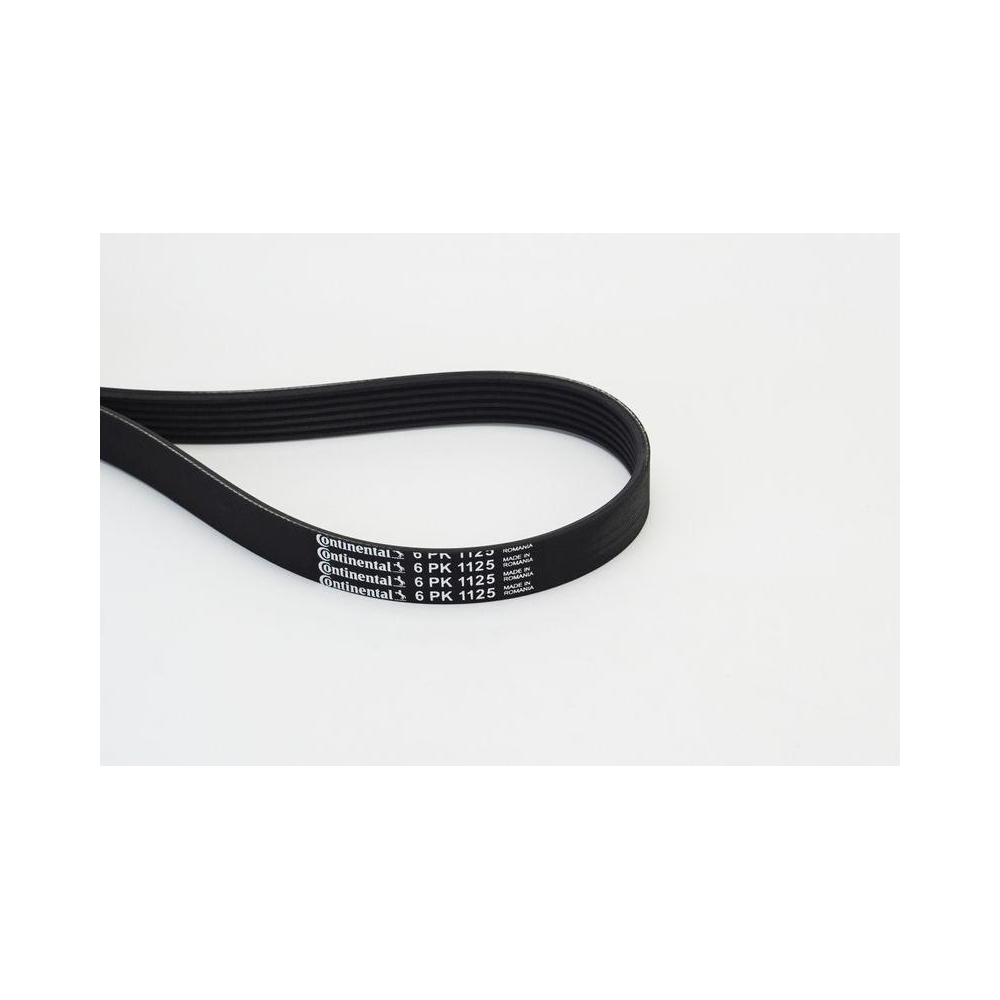Keilrippenriemen CONTINENTAL CTAM 6PK1125 für AUDI CITROËN FIAT LADA OPEL SEAT