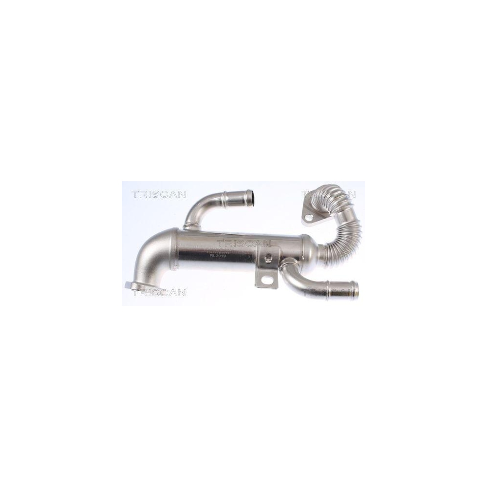 K&uuml;hler, Abgasr&uuml;ckf&uuml;hrung TRISCAN 8813 29332 f&uuml;r SEAT SKODA VW HITACHI