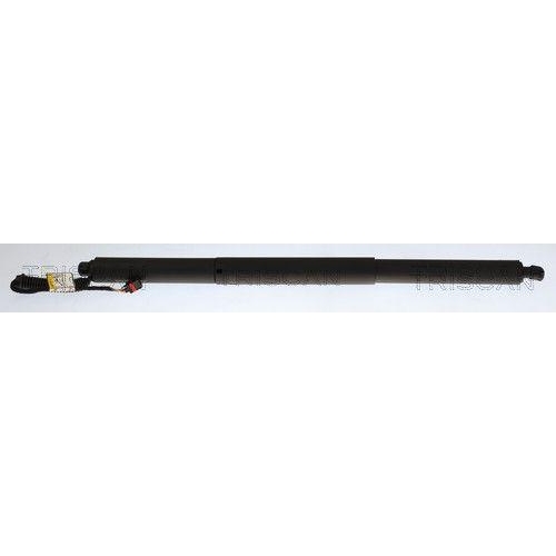 TRISCAN 8710 29339 Gasfeder, Koffer-/Laderaum f&uuml;r CUPRA, links, rechts