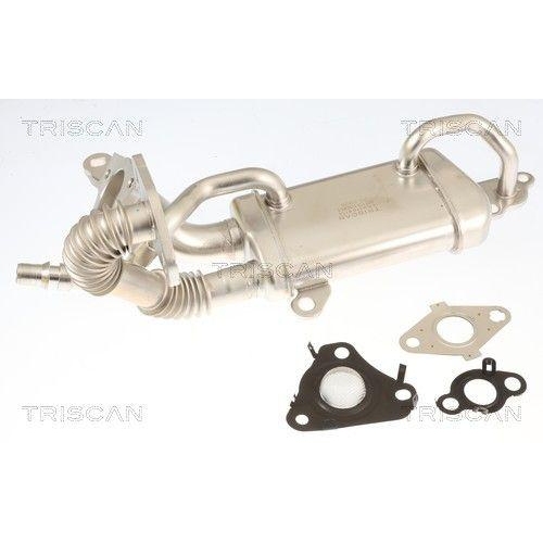 TRISCAN 8813 10061 K&uuml;hler, Abgasr&uuml;ckf&uuml;hrung f&uuml;r MERCEDES-BENZ NISSAN RENAULT