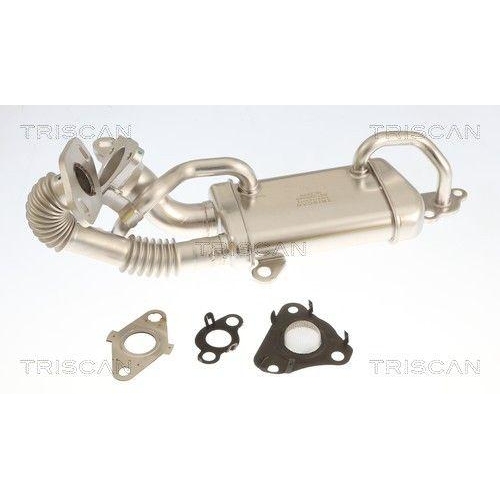 TRISCAN 8813 25049 K&uuml;hler, Abgasr&uuml;ckf&uuml;hrung f&uuml;r RENAULT DACIA