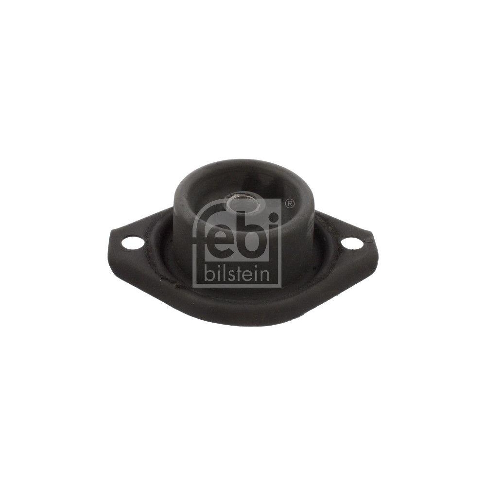 FEBI BILSTEIN Lagerung, Automatikgetriebe 07612 f&uuml;r FORD FORD USA, hinten links