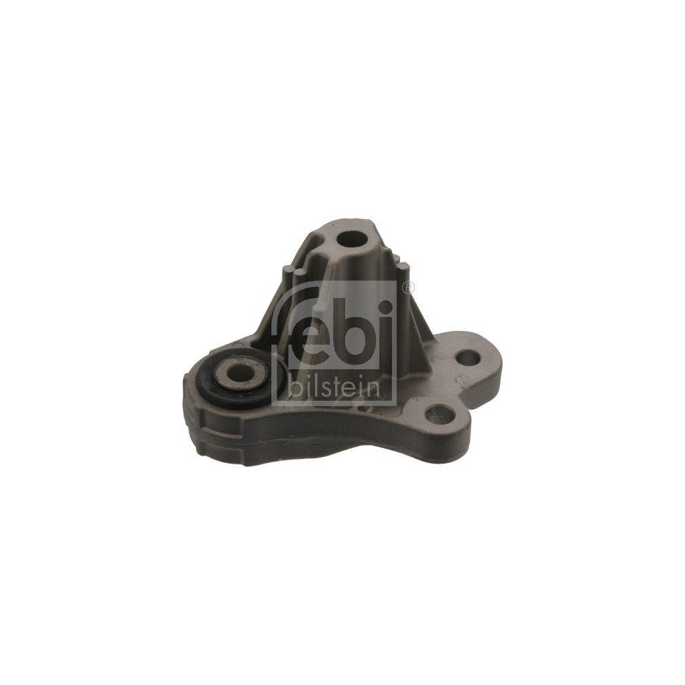 FEBI BILSTEIN Lagerung, Motor 45496 f&uuml;r FORD FORD USA, hinten