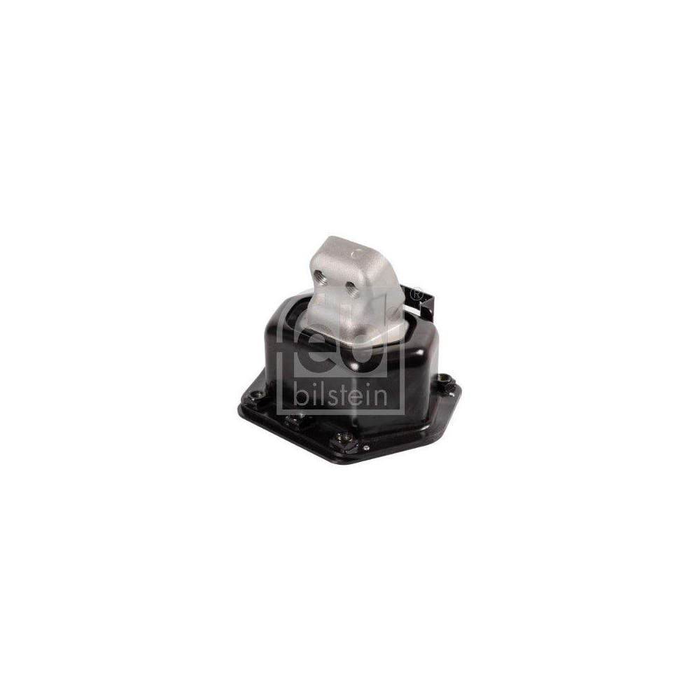 FEBI BILSTEIN Lagerung, Motor 171766 f&uuml;r DAF, beidseitig