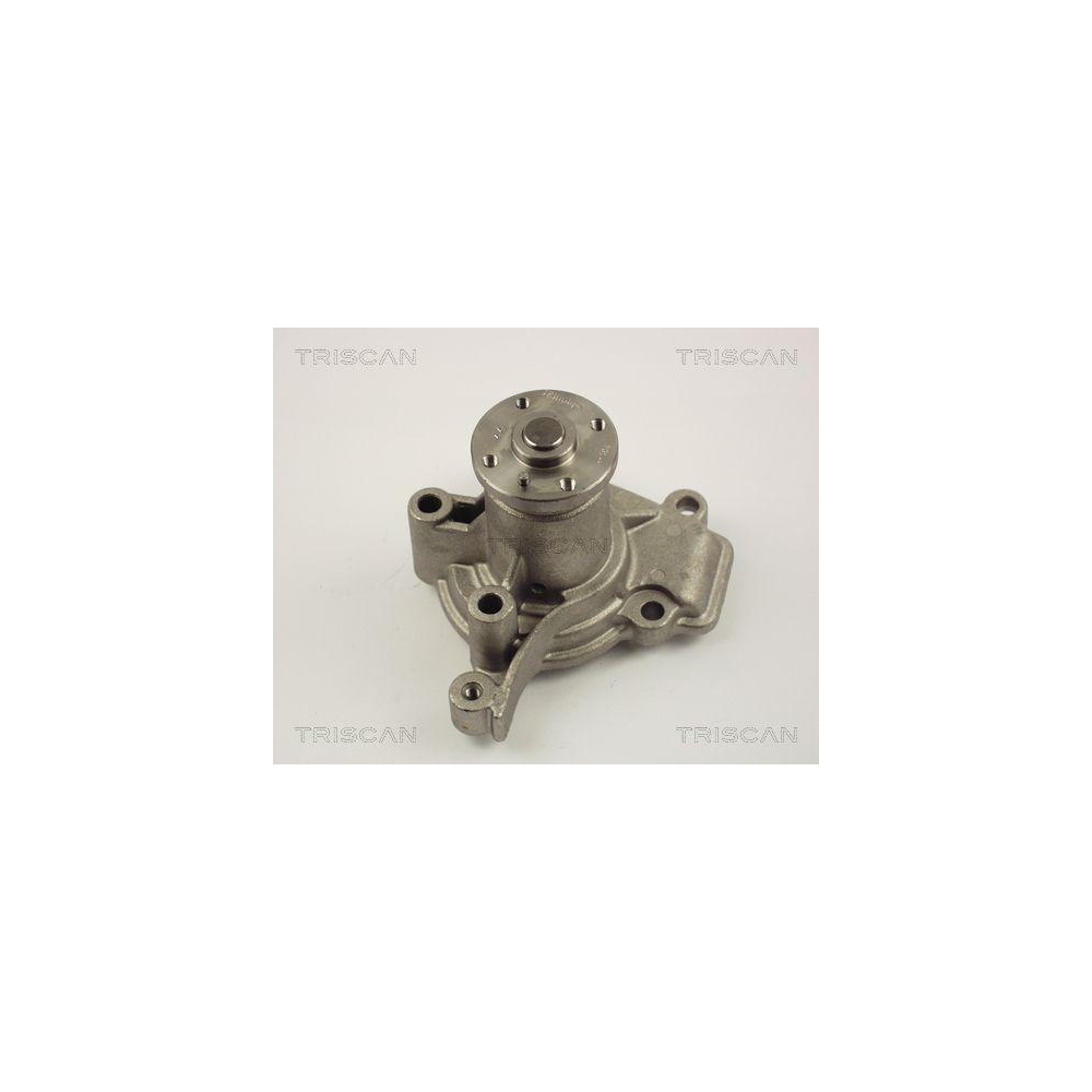 Wasserpumpe, Antriebsbatterie TRISCAN 8600 43004 für