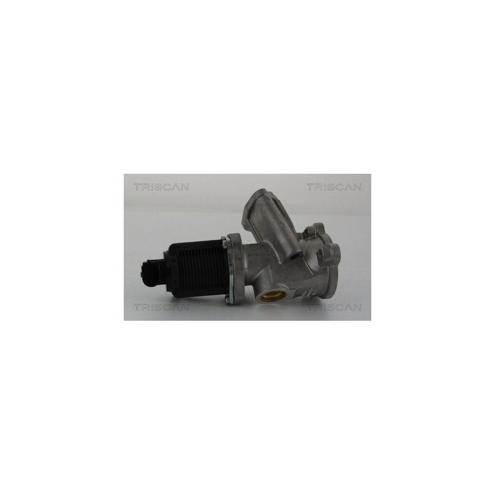 AGR-Ventil TRISCAN 8813 24204 f&uuml;r OPEL SUZUKI VAUXHALL