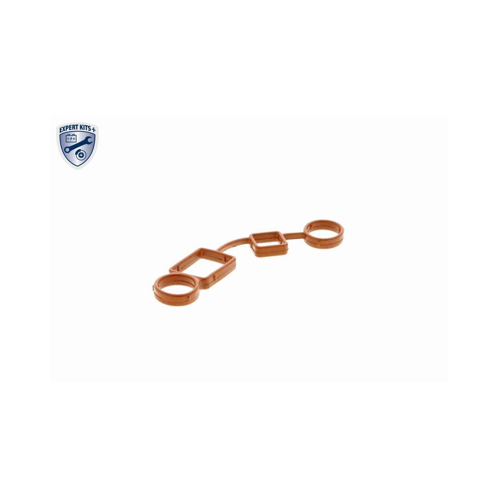 Dichtung, Kurbelgehäuseentlüftung VAICO V10-2559 Original VAICO Qualität für VW