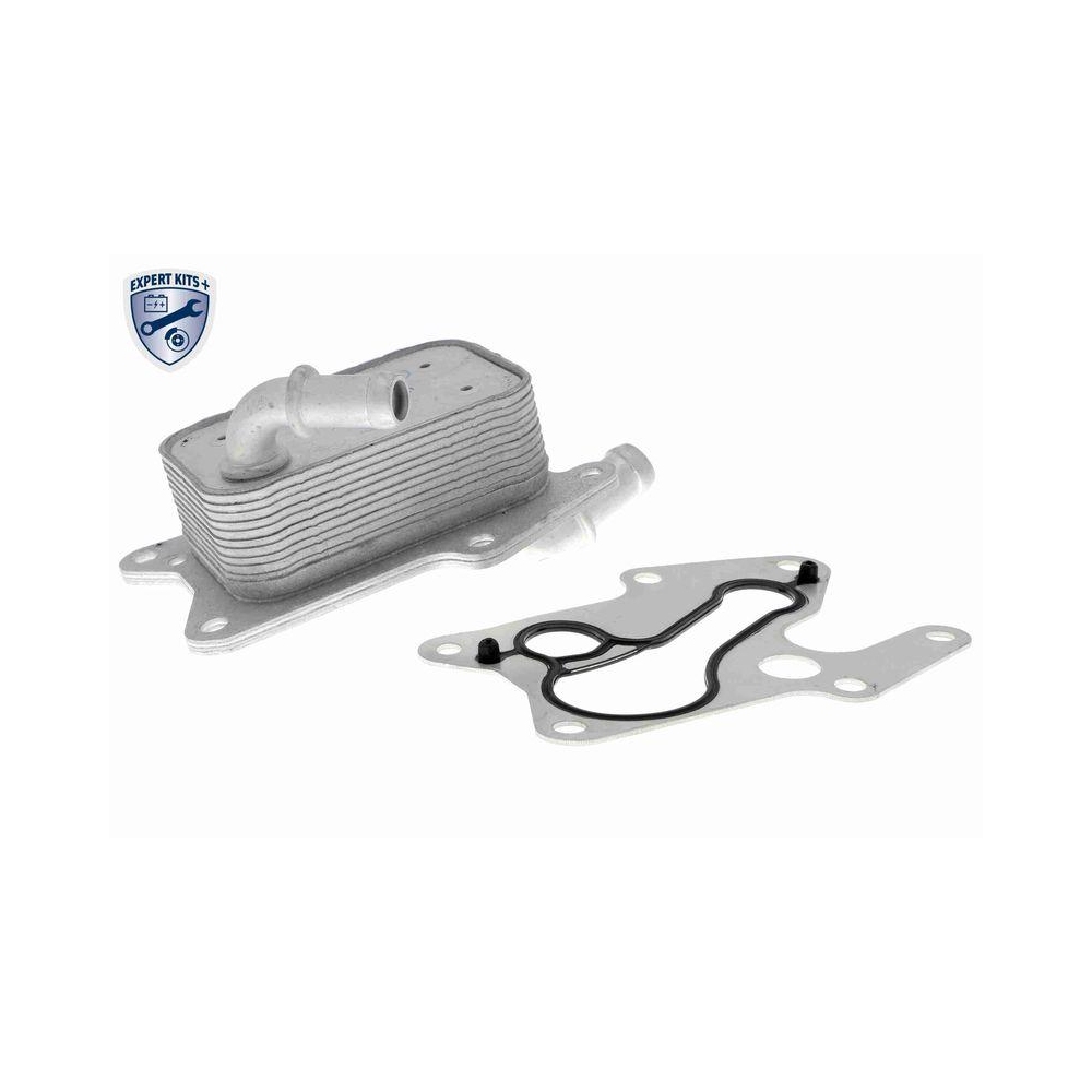 &Ouml;lk&uuml;hler, Motor&ouml;l VEMO V30-60-1341 EXPERT KITS + f&uuml;r MERCEDES-BENZ