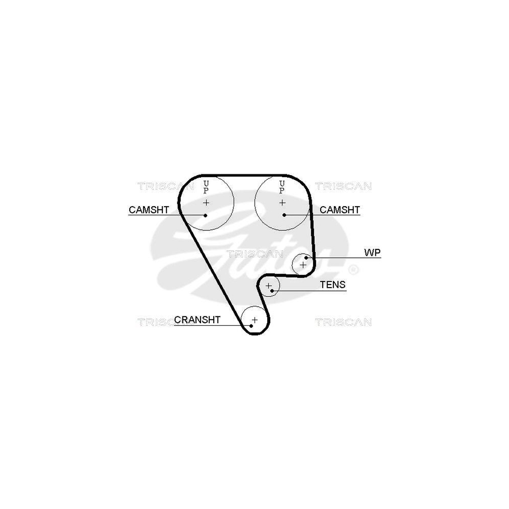 Zahnriemen TRISCAN 8645 5349xs f&uuml;r AUSTIN HONDA MG MORRIS ROVER TRIUMPH DANA