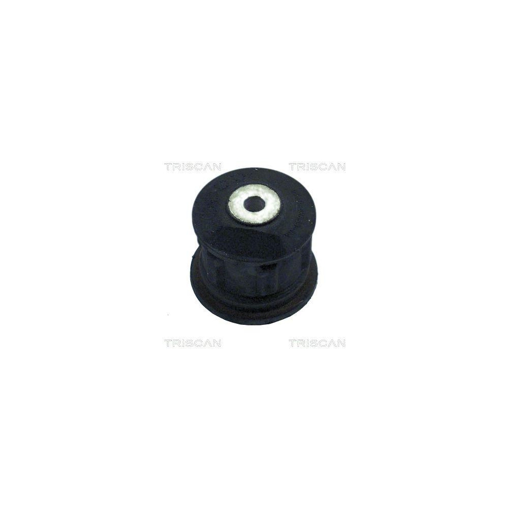 Lagerung, Achskörper TRISCAN 8500 16815 für FORD MAZDA, Hinterachse, außen