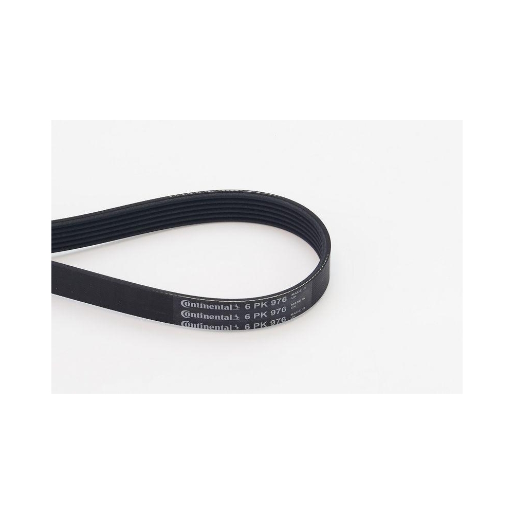 Keilrippenriemen CONTINENTAL CTAM 6PK976 für ALFA ROMEO CITROËN FORD MAZDA SEAT