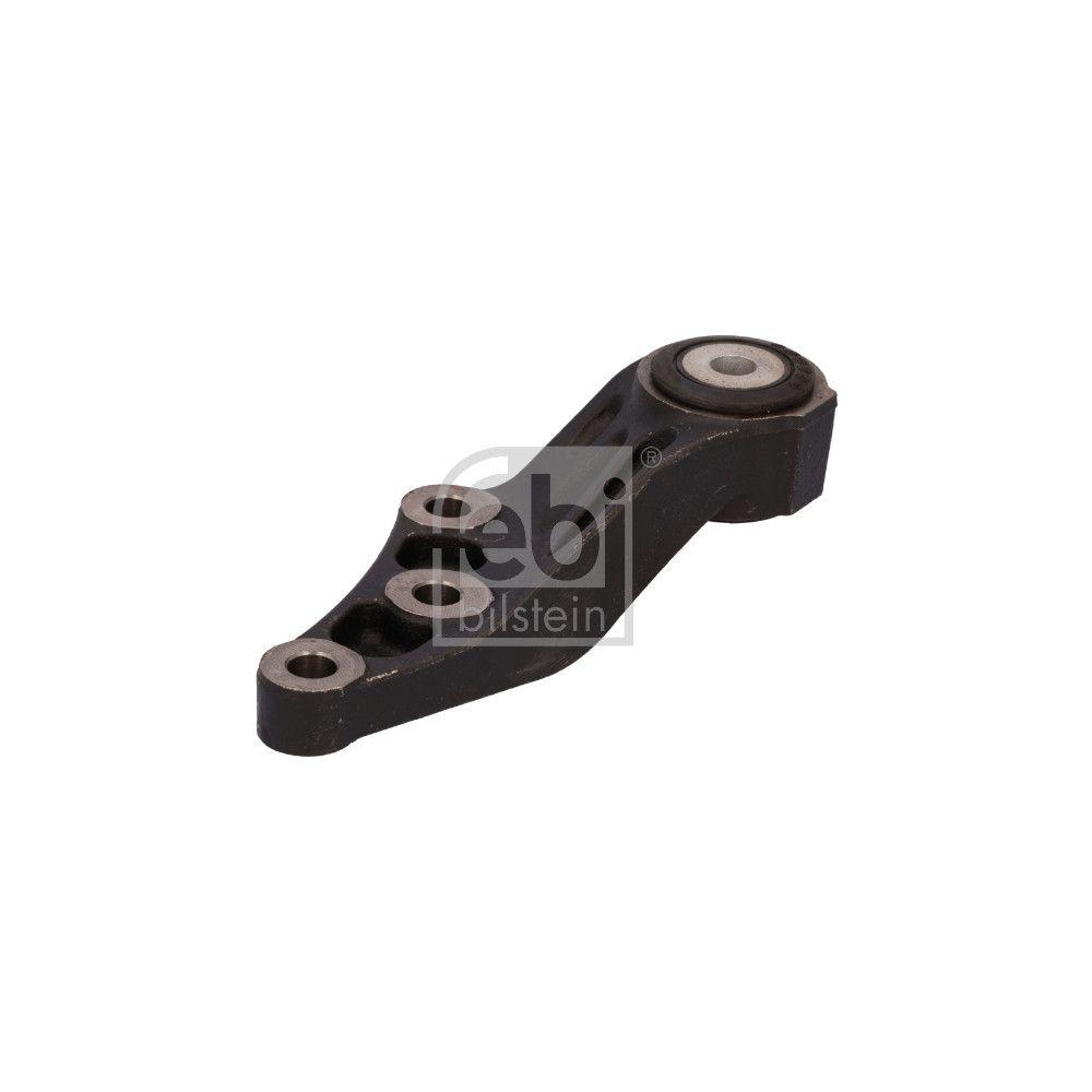 Lagerung, Motor FEBI BILSTEIN 197229 für FIAT, hinten