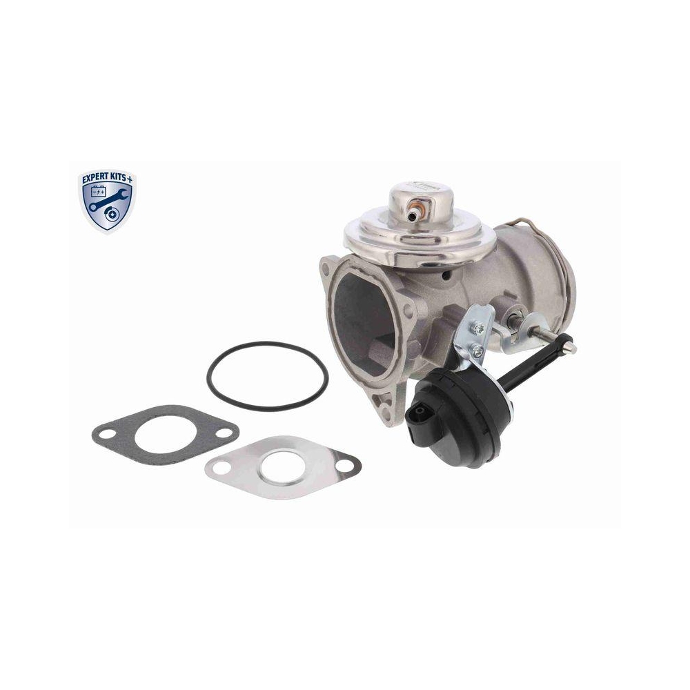 AGR-Ventil VEMO V10-63-0021-1 EXPERT KITS + f&uuml;r AUDI SEAT SKODA VW VAG