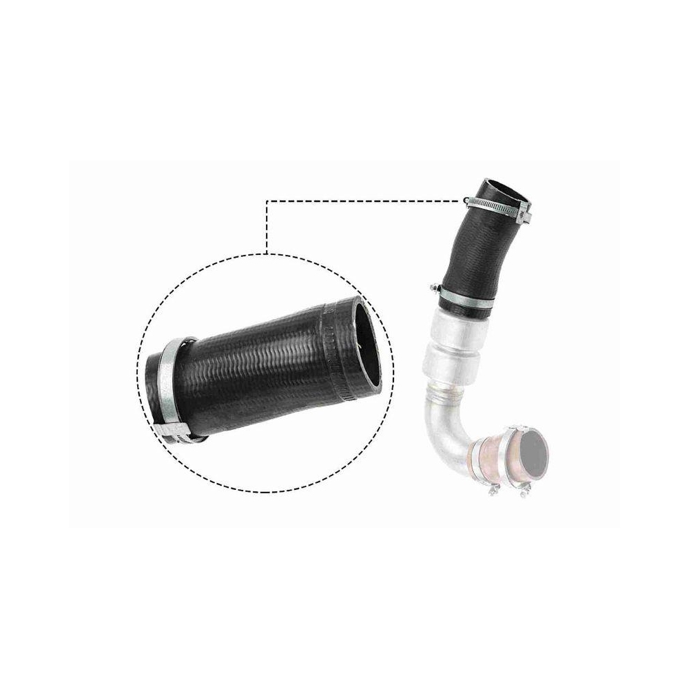 Ladeluftschlauch VAICO V25-1036 Q+, Erstausrüsterqualität für FORD