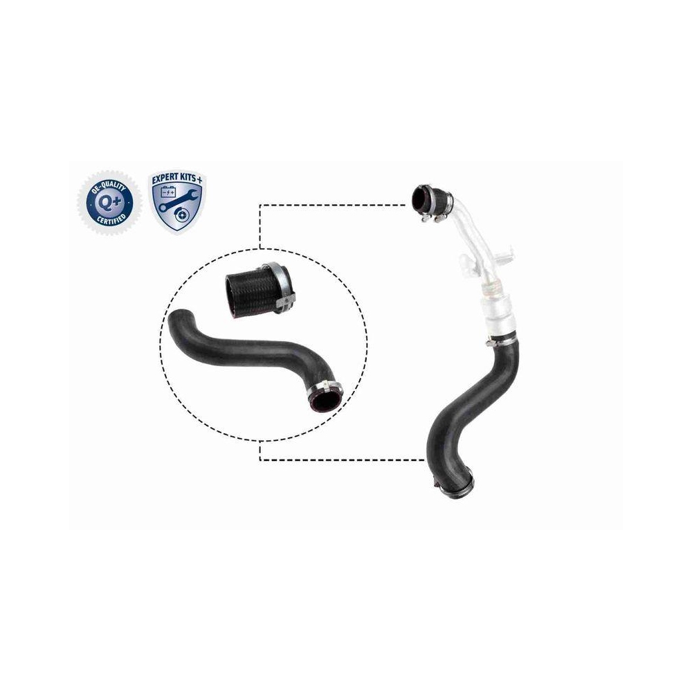 Ladeluftschlauch VAICO V48-0197 EXPERT KITS + für LAND ROVER, Ladeluftkühler