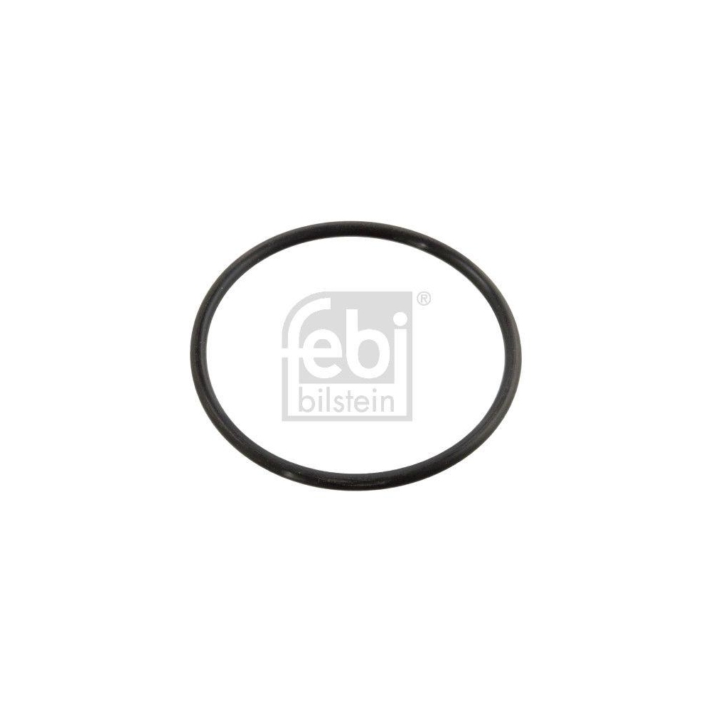 Dichtung, Thermostat FEBI BILSTEIN 10258 für MERCEDES-BENZ VW EVOBUS