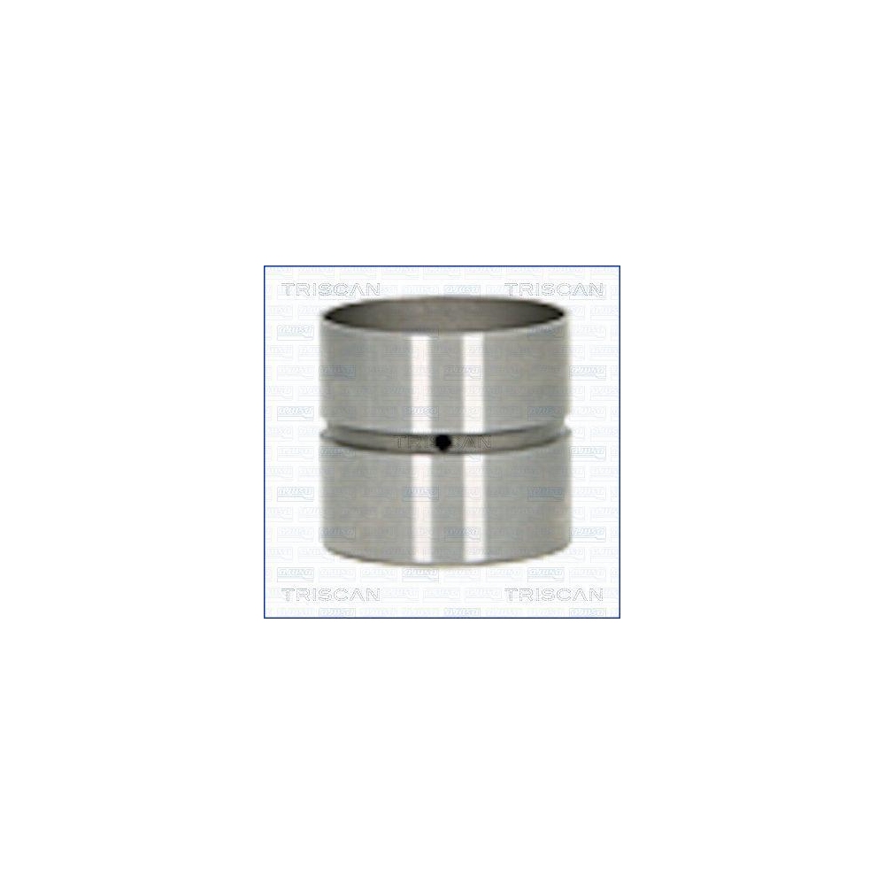 Ventilst&ouml;&szlig;el TRISCAN 80-25007 f&uuml;r CITRO&Euml;N (DF-PSA), Auslassseite, Einlassseite