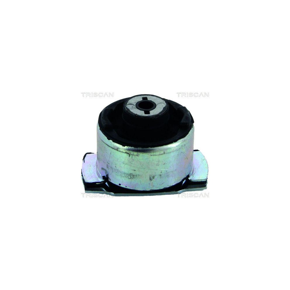 Lagerung, Achsk&ouml;rper TRISCAN 8500 25821 f&uuml;r RENAULT, Hinterachse rechts, au&szlig;en