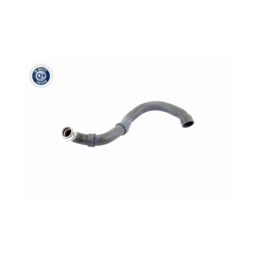 Kühlerschlauch VAICO V30-1661 Q+, Erstausrüsterqualität für MERCEDES-BENZ, unten