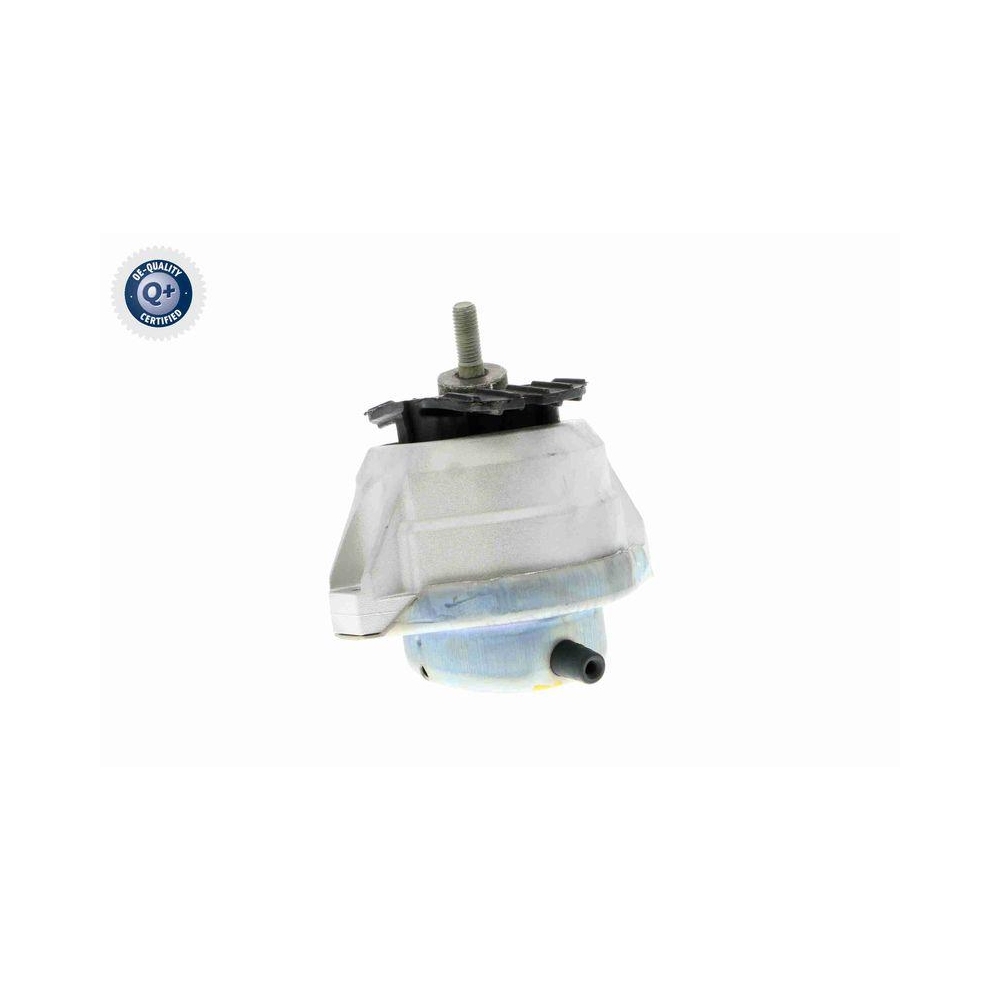 Lagerung, Motor VAICO V20-0497 Q+, Erstausr&uuml;sterqualit&auml;t f&uuml;r BMW, vorne links