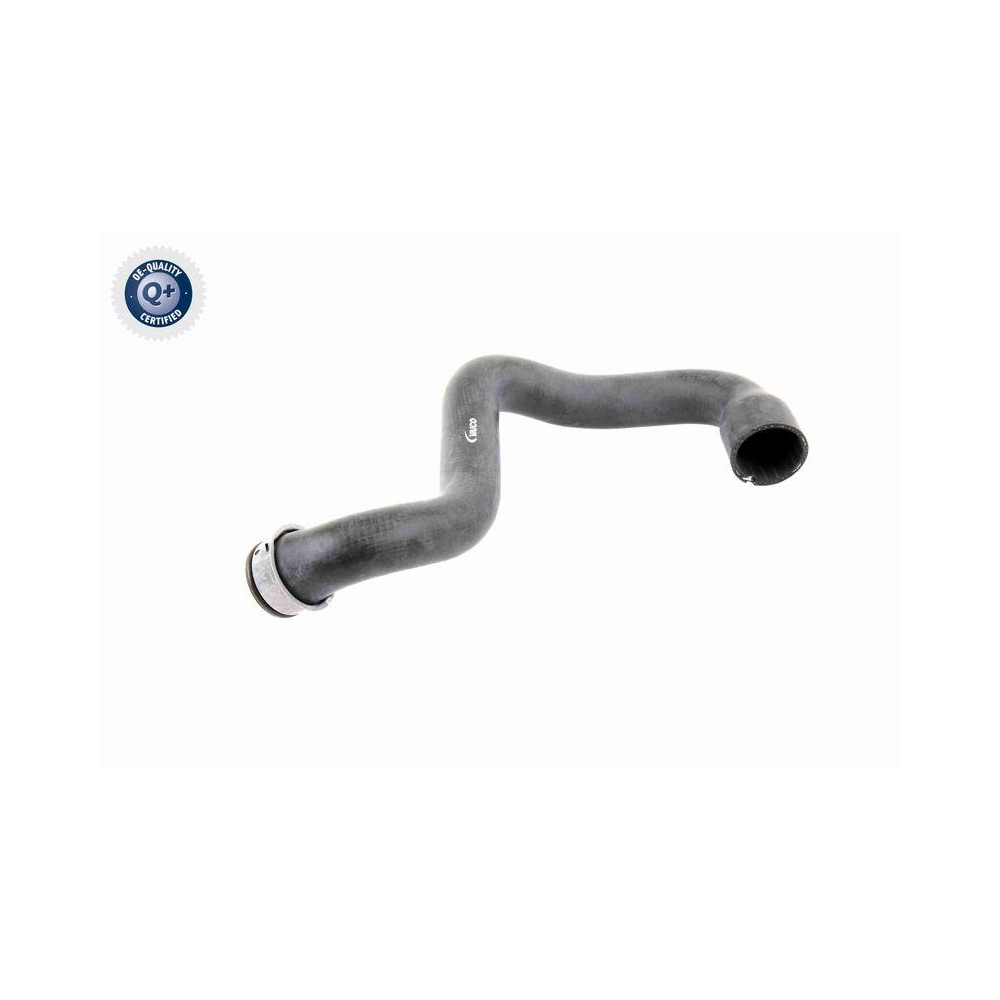 Kühlerschlauch VAICO V30-1662 Q+, Erstausrüsterqualität für MERCEDES-BENZ, unten