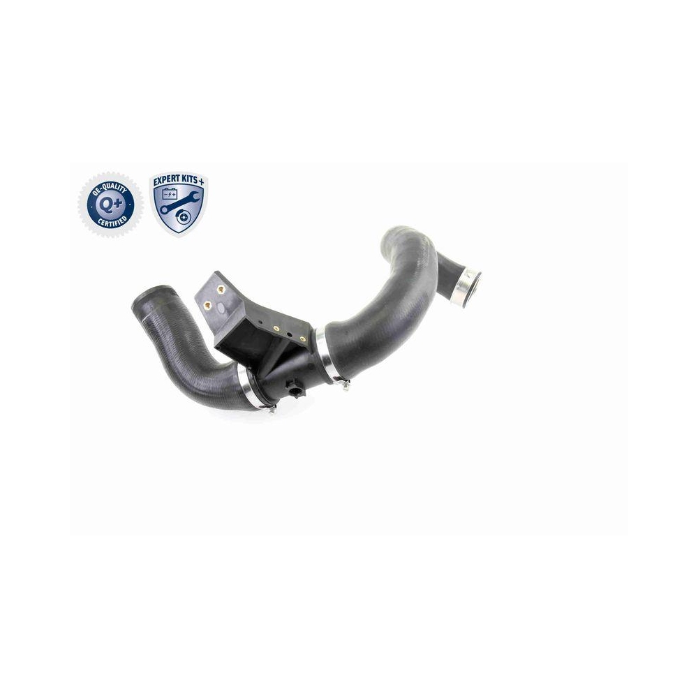 Ladeluftschlauch VAICO V30-2421 EXPERT KITS + für CHRYSLER DODGE MERCEDES-BENZ