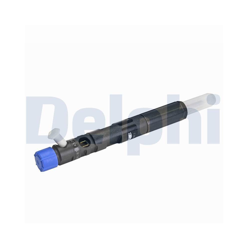 DELPHI 28232248-12B1 Einspritzventil für NISSAN RENAULT