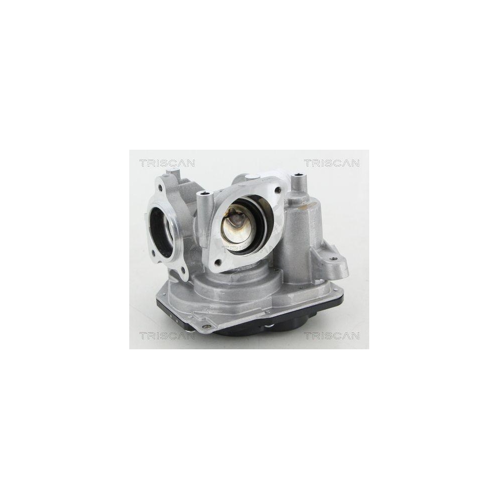 AGR-Ventil TRISCAN 8813 10031 f&uuml;r ALFA ROMEO FIAT