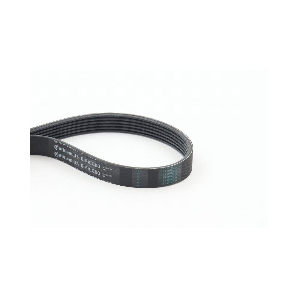 Keilrippenriemen CONTINENTAL CTAM 6PK800 für CITROËN FIAT FORD MAZDA OPEL SUZUKI