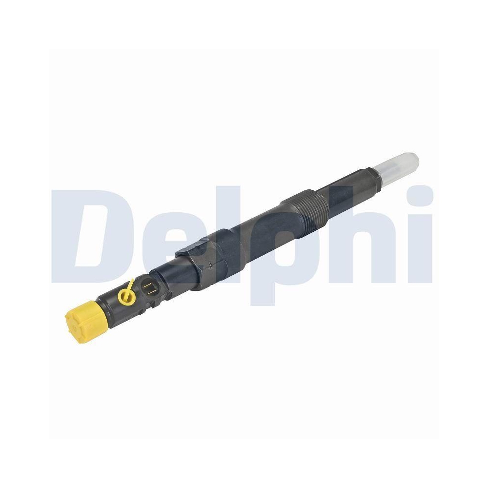 DELPHI R00501Z-12B1 Einspritzventil f&uuml;r FORD JAGUAR CASE IH