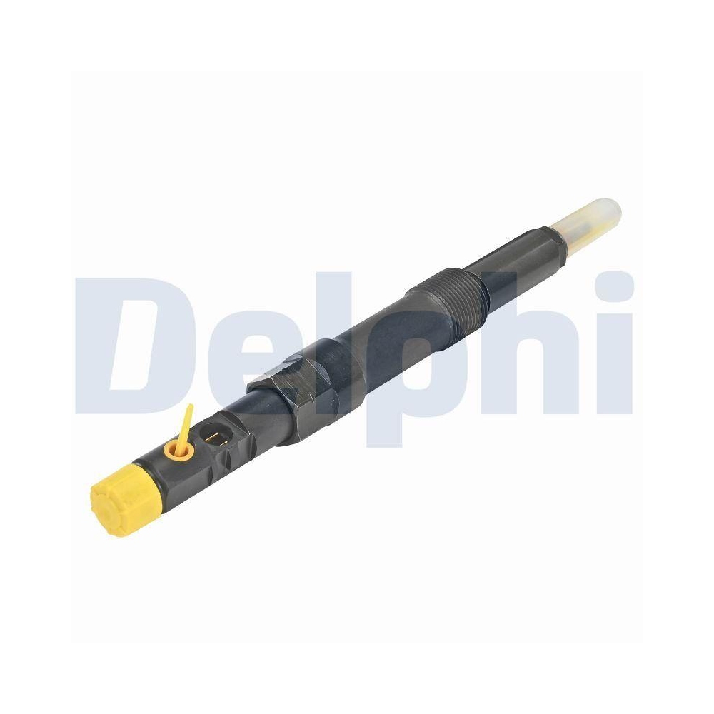 DELPHI R00502Z-12B1 Einspritzventil f&uuml;r FORD