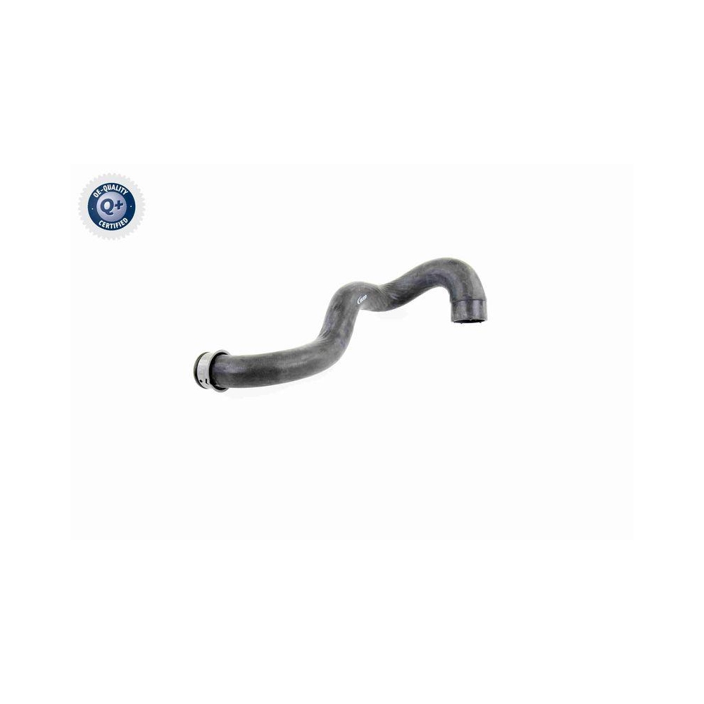 Kühlerschlauch VAICO V30-1919 Q+, Erstausrüsterqualität für MERCEDES-BENZ