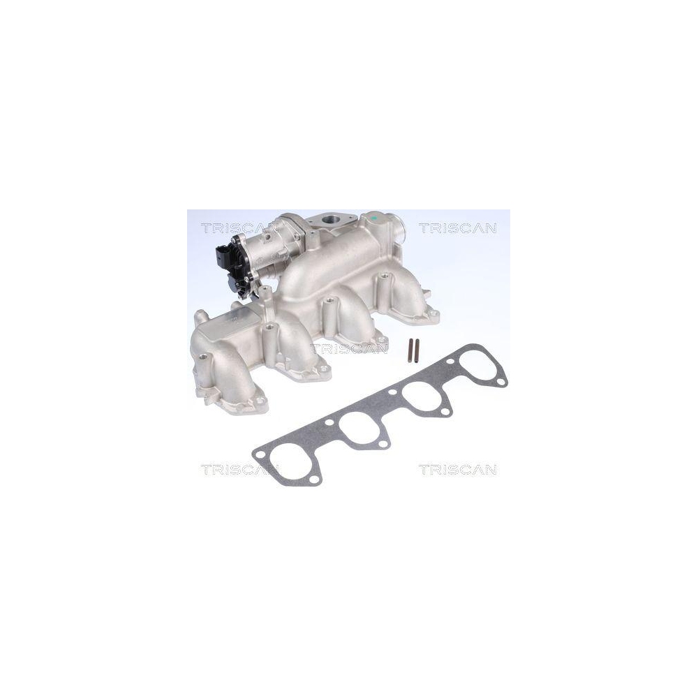 AGR-Ventil TRISCAN 8813 16160 f&uuml;r FORD