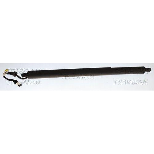 TRISCAN 8710 11385 Gasfeder, Koffer-/Laderaum f&uuml;r BMW, links, rechts