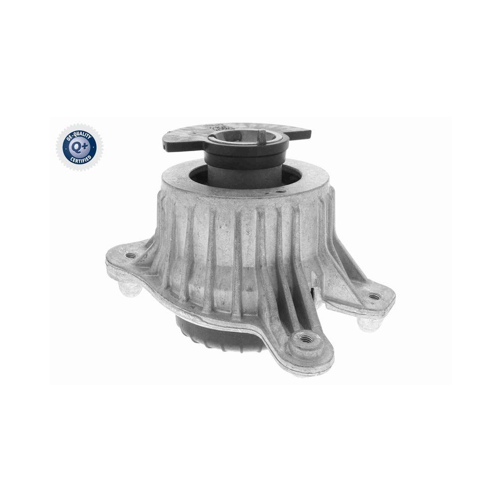 Lagerung, Motor VAICO V30-3100 Q+, Erstausr&uuml;sterqualit&auml;t f&uuml;r MERCEDES-BENZ