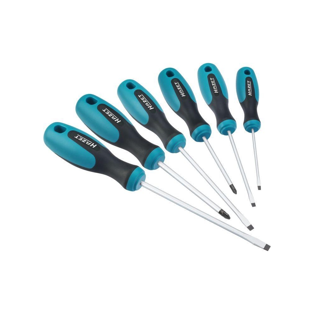 Schraubendrehersatz HAZET 810/6PZ für