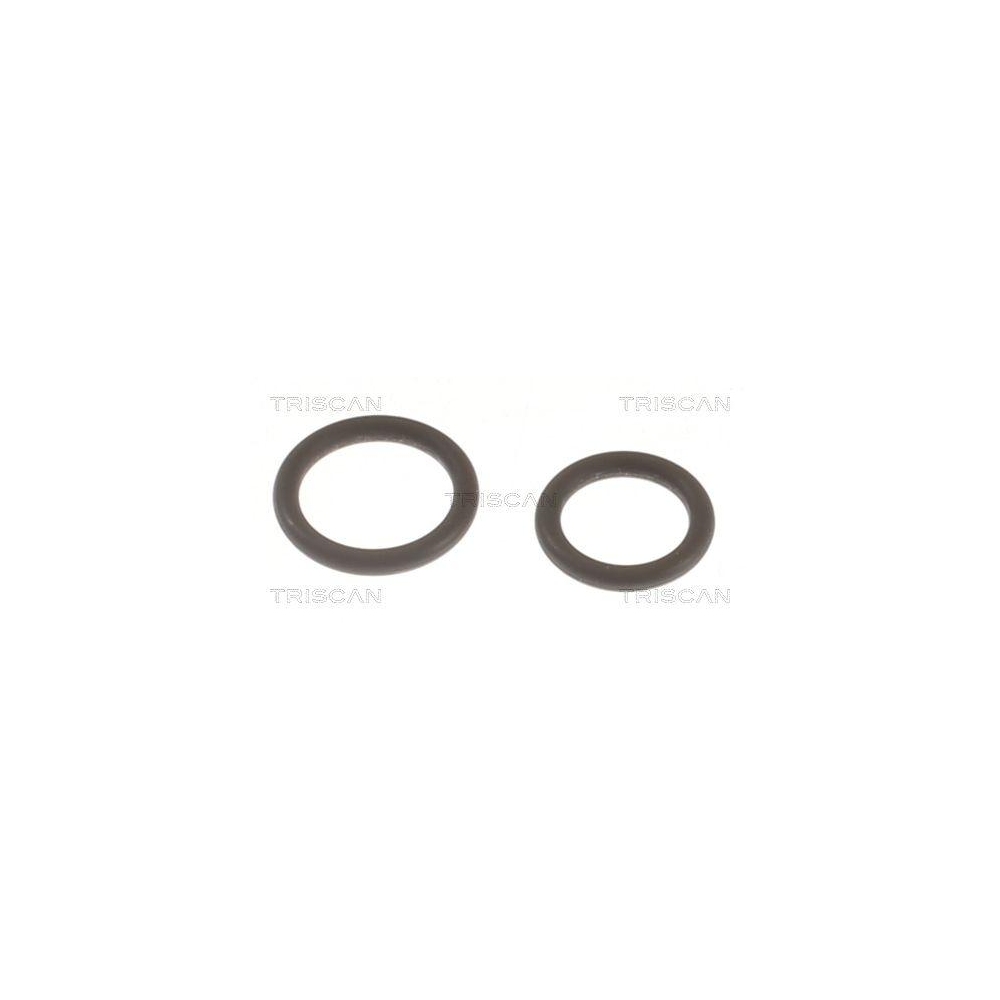 Dichtungssatz, Einspritzdüse TRISCAN 596-1002 für NISSAN RENAULT