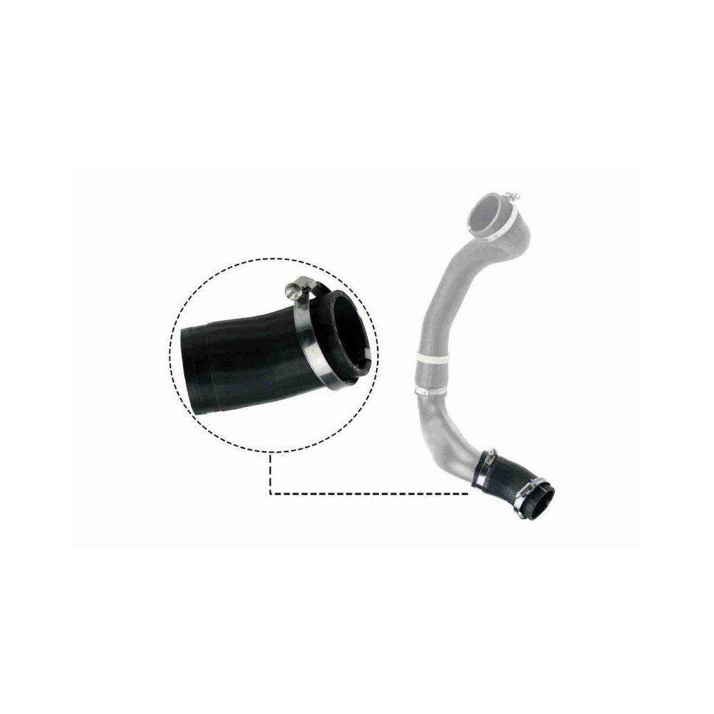 Ladeluftschlauch VAICO V48-0186 Q+, Erstausr&uuml;sterqualit&auml;t f&uuml;r LAND ROVER