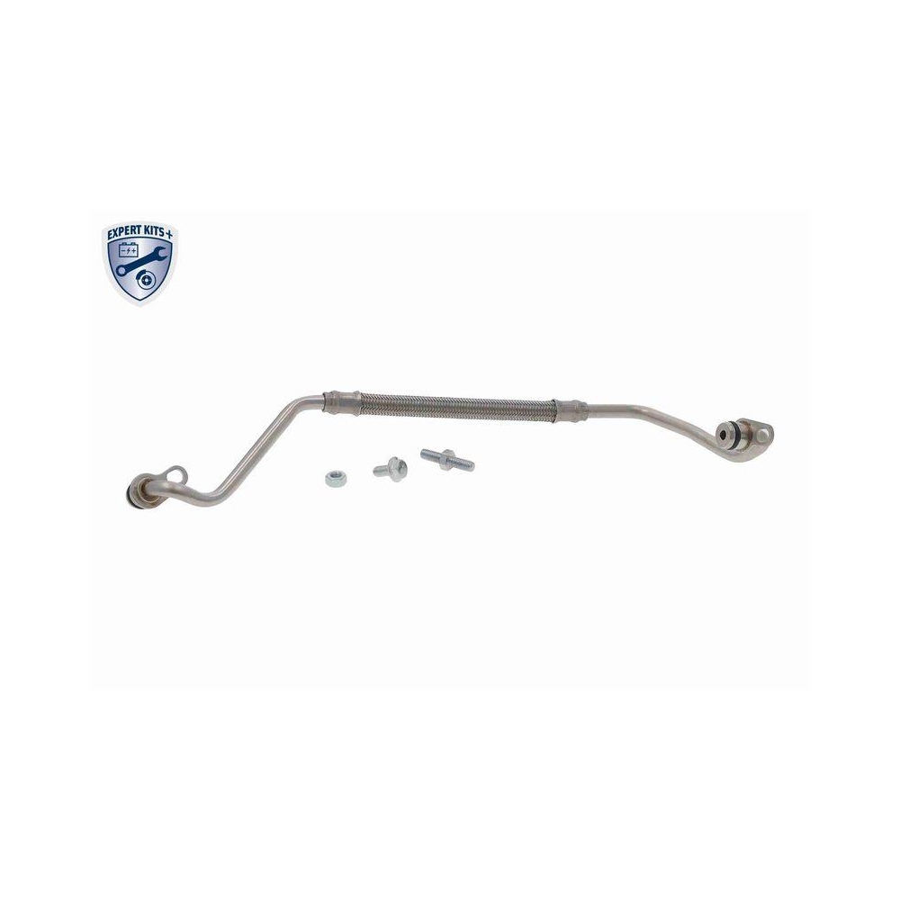 VAICO V10-000159 &Ouml;lleitung, Lader EXPERT KITS + f&uuml;r AUDI SEAT SKODA VW CUPRA