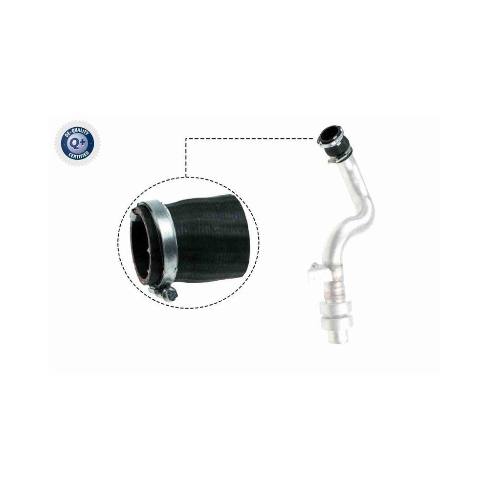 Ladeluftschlauch VAICO V48-0192 Q+, Erstausrüsterqualität für LAND ROVER