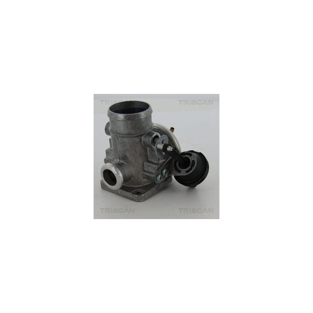 AGR-Ventil TRISCAN 8813 29300 f&uuml;r VW