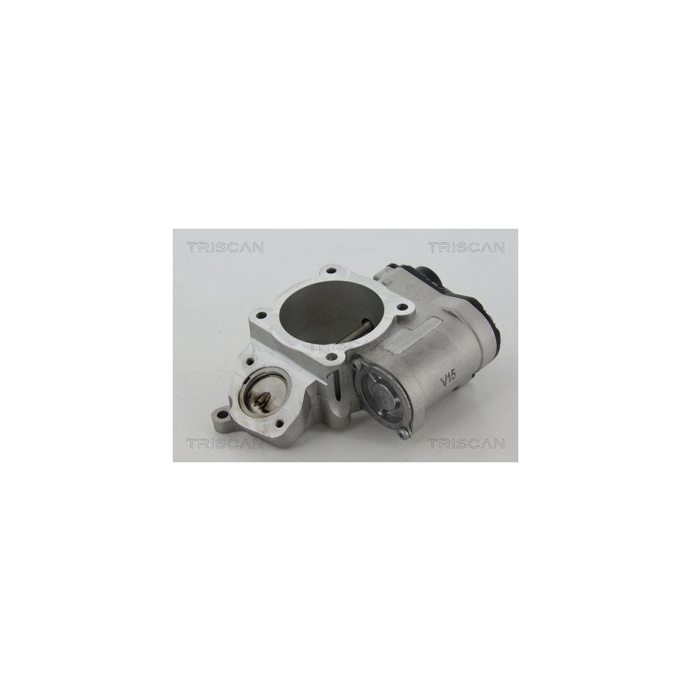 AGR-Ventil TRISCAN 8813 29028 f&uuml;r AUDI VW