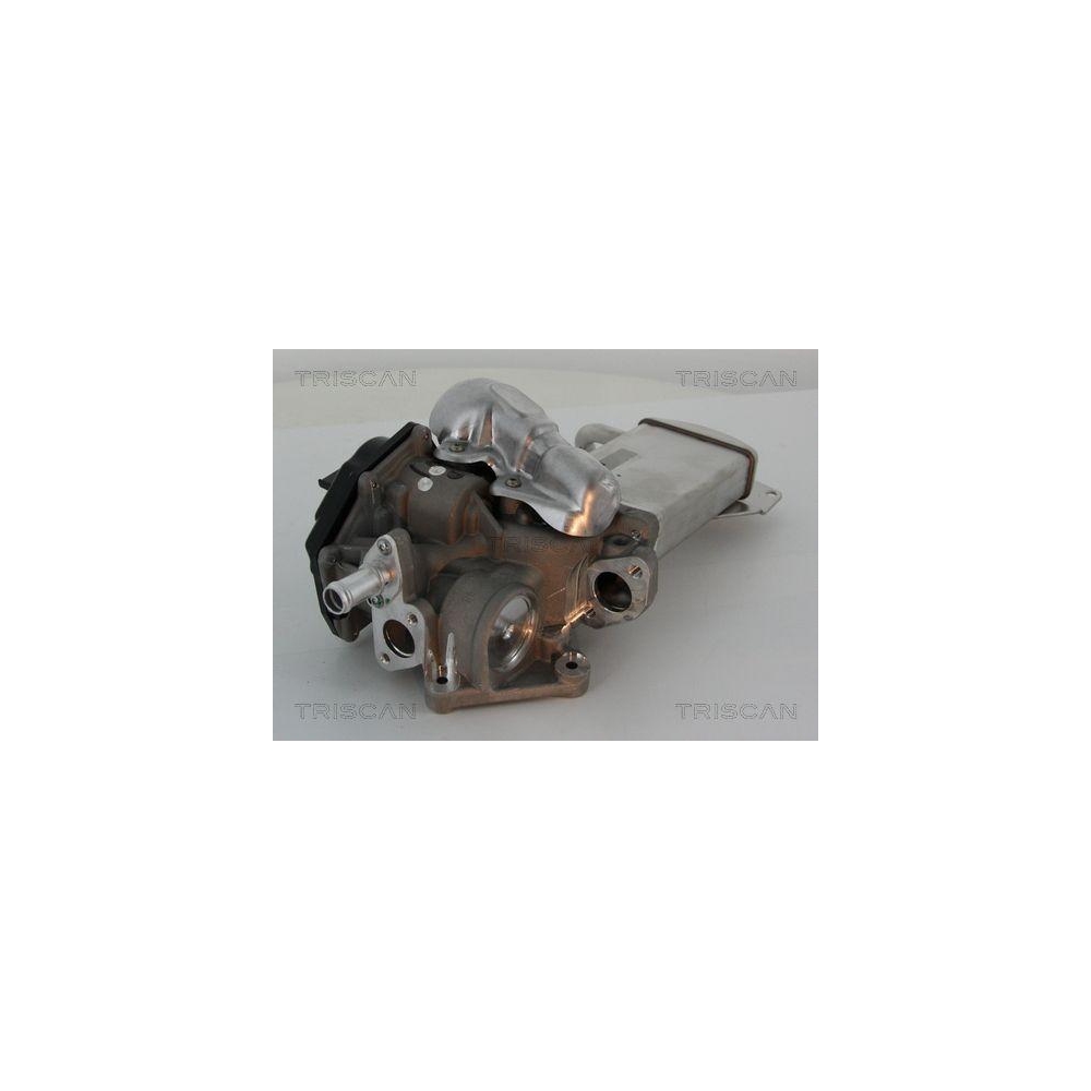 AGR-Ventil TRISCAN 8813 29304 für AUDI VW